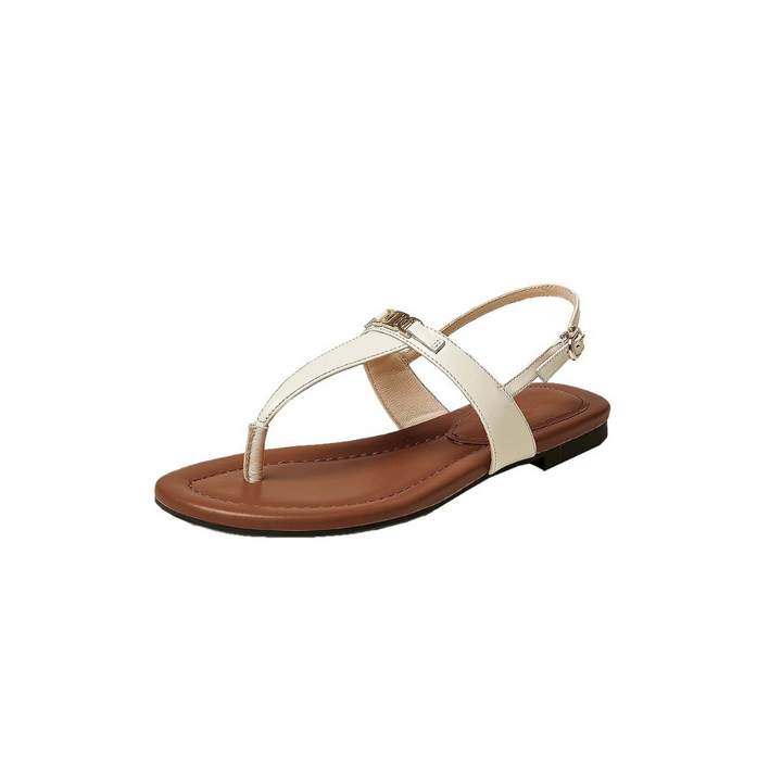 Aloise | Gold Buckle Thong Sandals