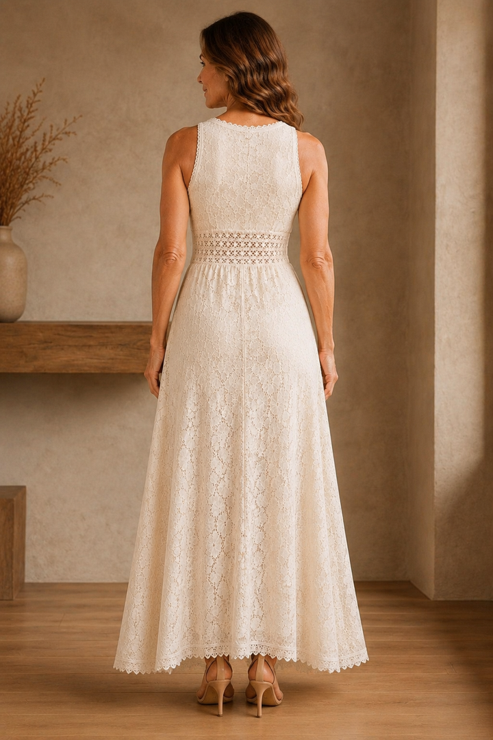 Lace Overlay Lined Dress - back view
