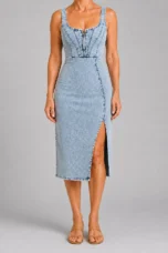 Alvina | Panel Seam Denim Midi Dress