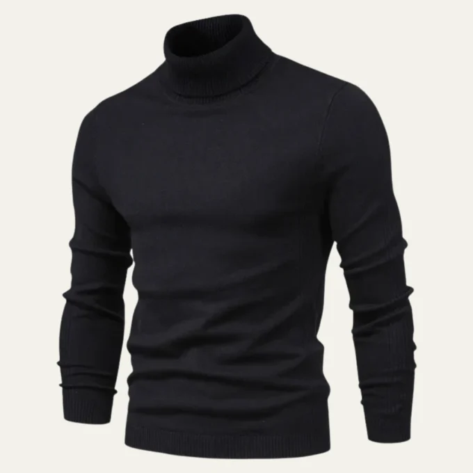Hilarion | Cotton Blend Turtleneck