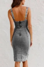 Alvina | Panel Seam Denim Midi Dress