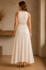 Lace Overlay Lined Dress - back view
