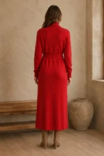 Wool Knit High Neck Dress back view